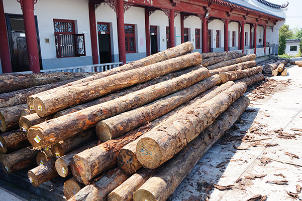 �S(ch��ng)�^(q��)��Ƭ