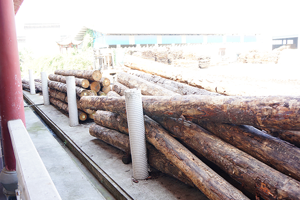 �S(ch��ng)�^(q��)��Ƭ